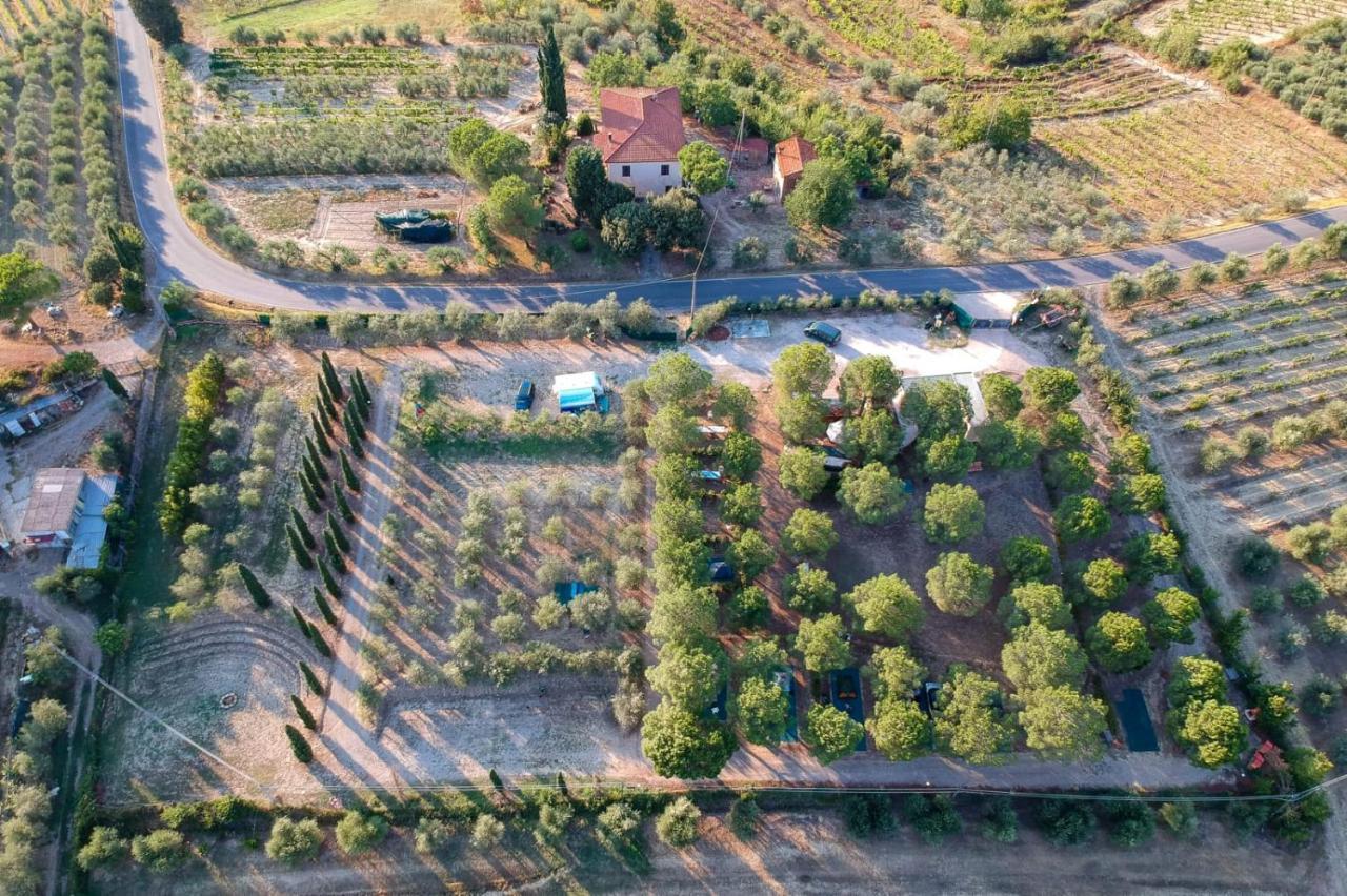 Agricamping Poggio Ai Pini Wine Camping Certaldo Luaran gambar