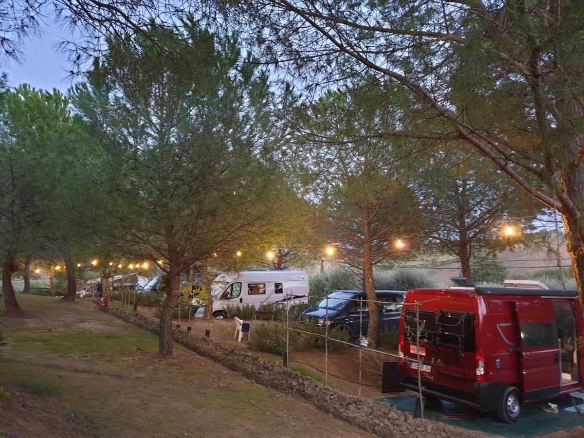Agricamping Poggio Ai Pini Wine Camping Certaldo Luaran gambar