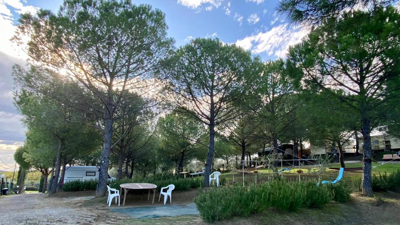 Agricamping Poggio Ai Pini Wine Camping Certaldo Luaran gambar