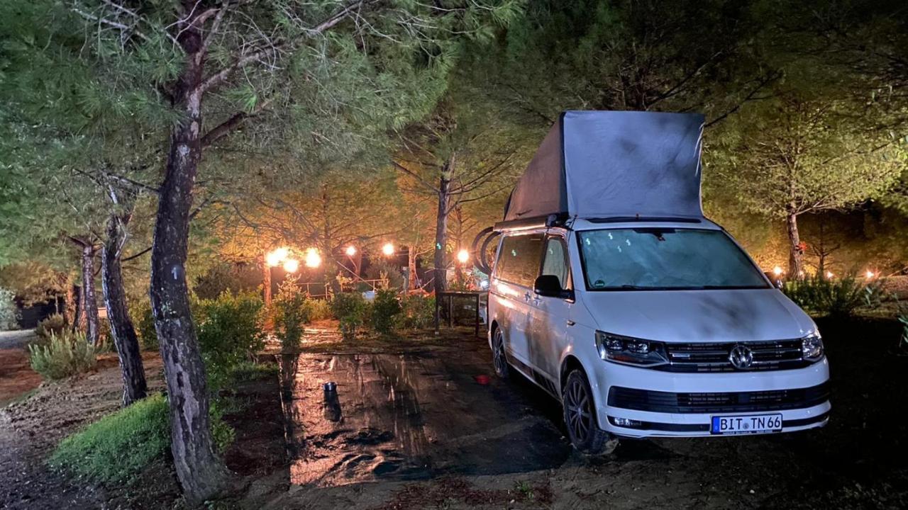 Agricamping Poggio Ai Pini Wine Camping Certaldo Luaran gambar