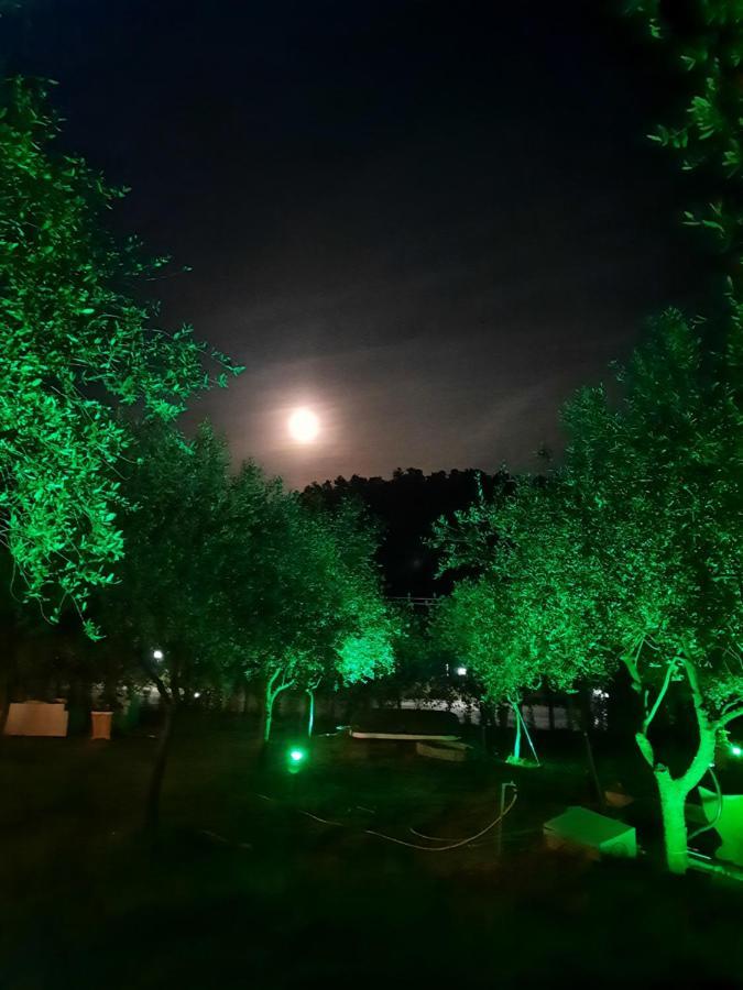 Agricamping Poggio Ai Pini Wine Camping Certaldo Luaran gambar