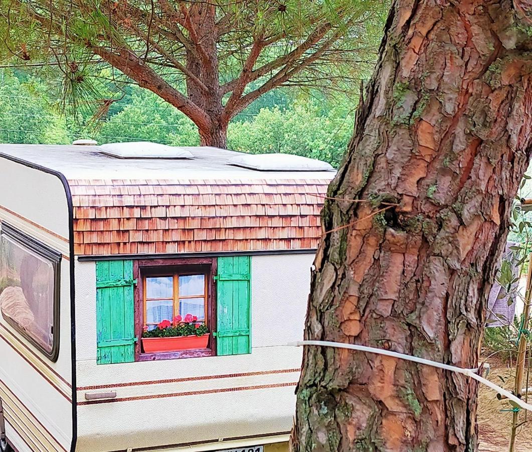 Agricamping Poggio Ai Pini Wine Camping Certaldo Luaran gambar