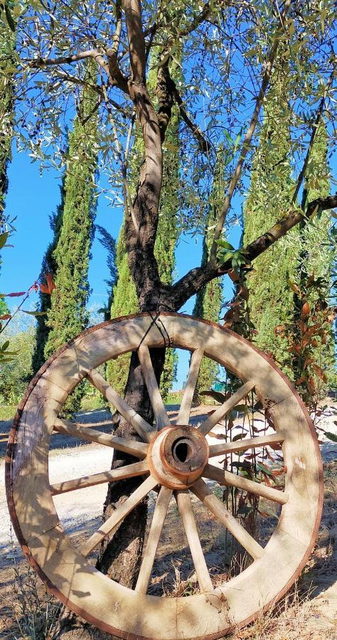 Agricamping Poggio Ai Pini Wine Camping Certaldo Luaran gambar