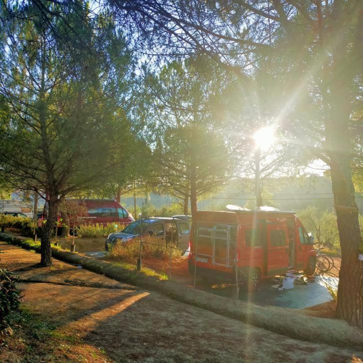 Agricamping Poggio Ai Pini Wine Camping Certaldo Luaran gambar